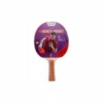 Paleta de Ping Pong Sensei 4 Stars